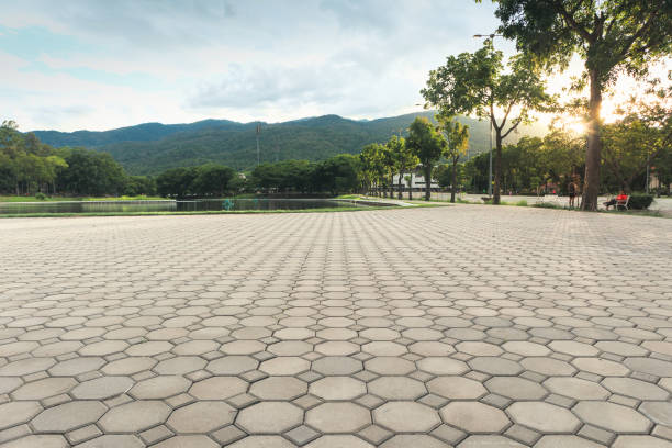 Best Best Driveway Pavers  in Jacinto City, TX