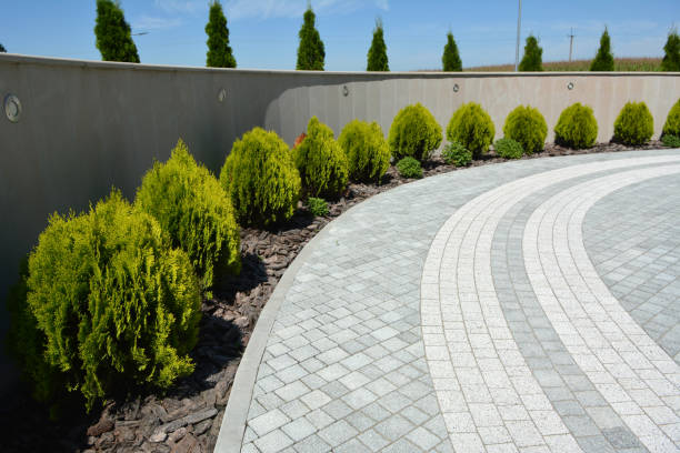Best Driveway Pavers Near Me  in Jacinto City, TX